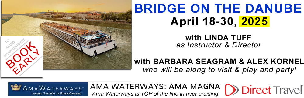 Bridge on the Danube 2025